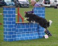 Agility class</br>on Tue 30 April 2024</br>Starts at 10:30