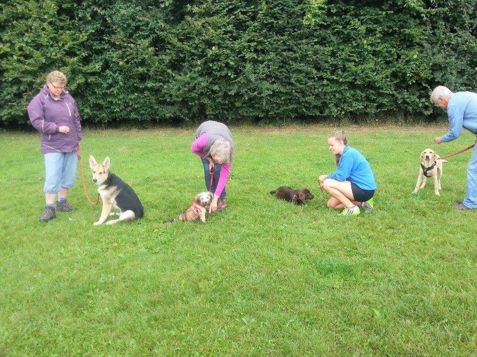 Puppy Class (week 6 of 6)</br>on Sat 30 March 2024</br>Starts at 12:00