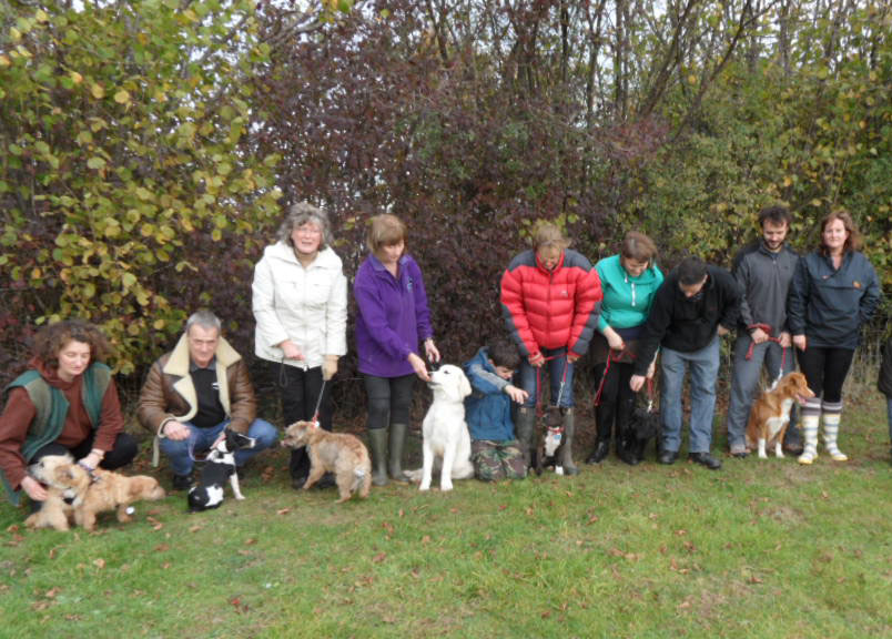Puppy Improvers Class</br>on Thu 29 February 2024</br>Starts at 11:00