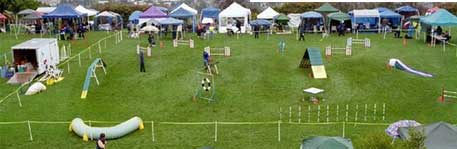 Open Agility Show</br>on Sat 21 June 2025</br>Starts at 08:30